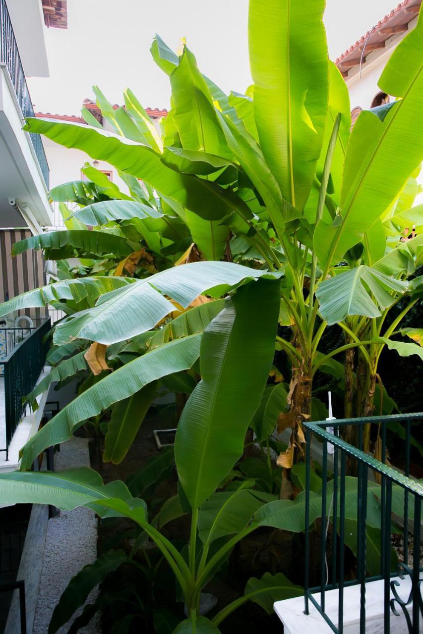 Panorama Apartments ฟิออยิตา ภายนอก รูปภาพ