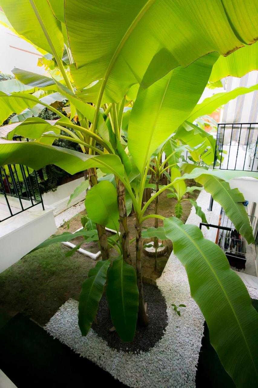 Panorama Apartments ฟิออยิตา ภายนอก รูปภาพ