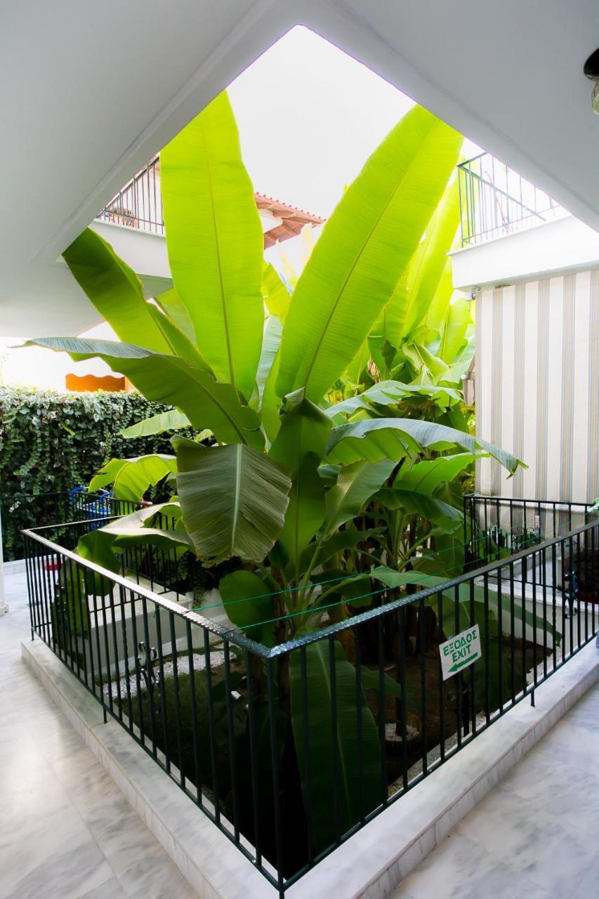 Panorama Apartments ฟิออยิตา ภายนอก รูปภาพ